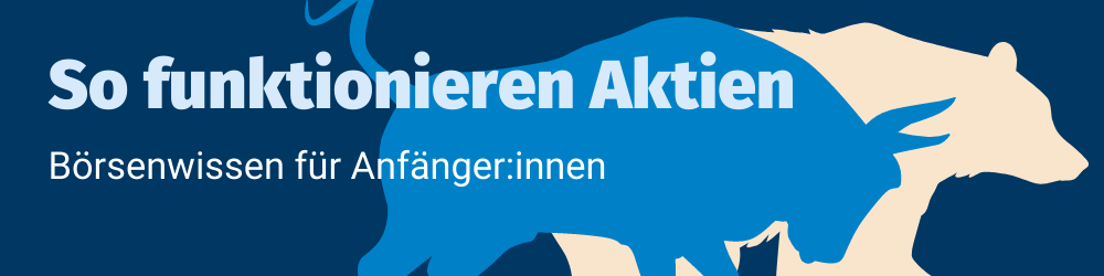 Header Anfänger Aktien Anfänger